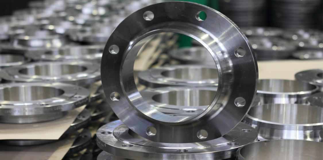 Stainless Steel 446 Flanges