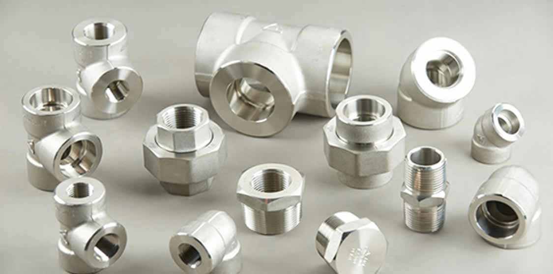 Stainless Steel 446 Forged Fittings